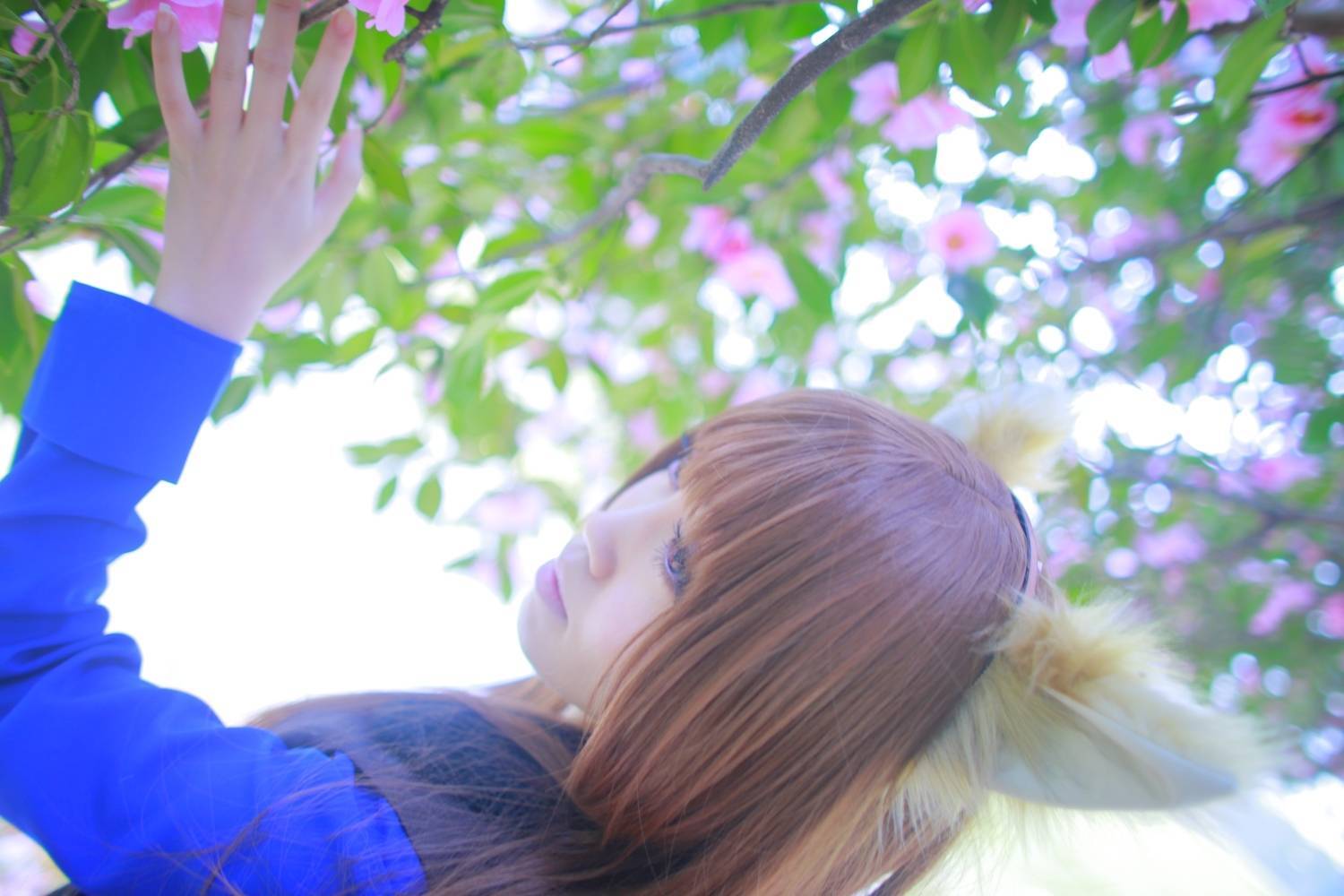 [Cosplay] 2013.04.13 Spice and Wolf Hot Cosplay